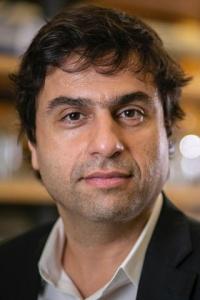 Hashim M. Al-Hashimi, PhD